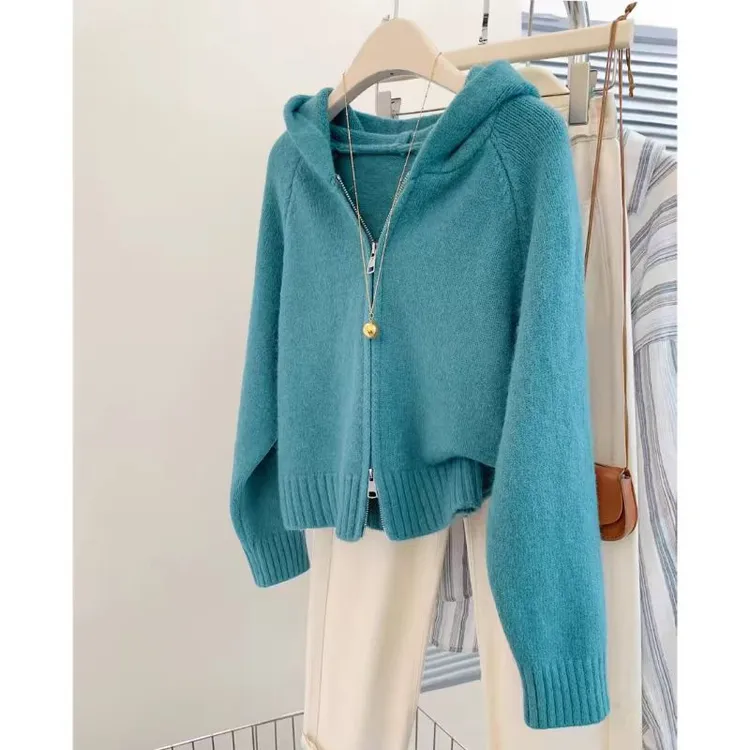 法式软糯连帽蓝色双拉链开衫毛衣女春季2025新款高级感针织衫上衣