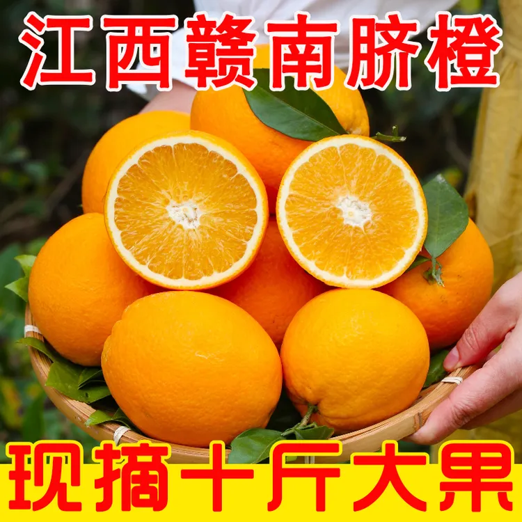正宗江西赣南脐橙新鲜水果现摘现发手剥甜橙子当季婴幼儿10斤包邮
