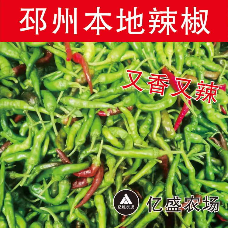 徐州邳州本地新鲜薄皮土辣椒特辣超辣可做辣椒酱蔬菜