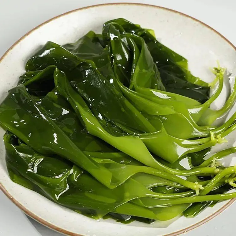 （小章推荐）盐渍整颗头茬海带苗小海带火锅凉拌菜煮汤鲜嫩脆爽商品图
