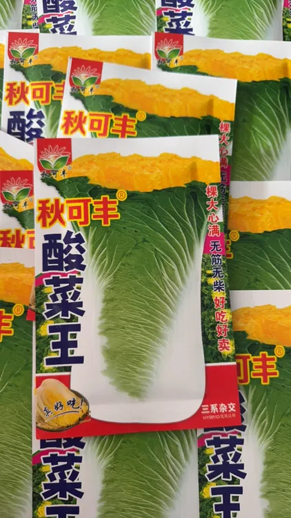 酸菜王白菜籽（种子）