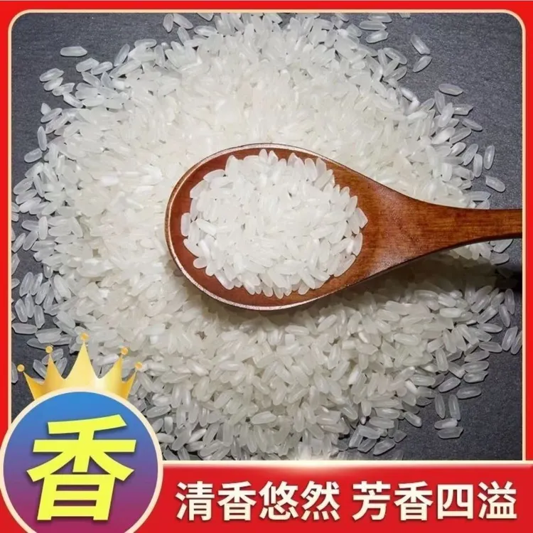 【东北大米】长粒清香米 东北大米家家户户的选择 10斤装