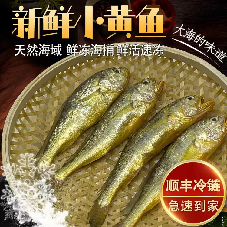 黄鱼小黄鱼劲爆东海小黄鱼顺丰红烧清蒸香煎