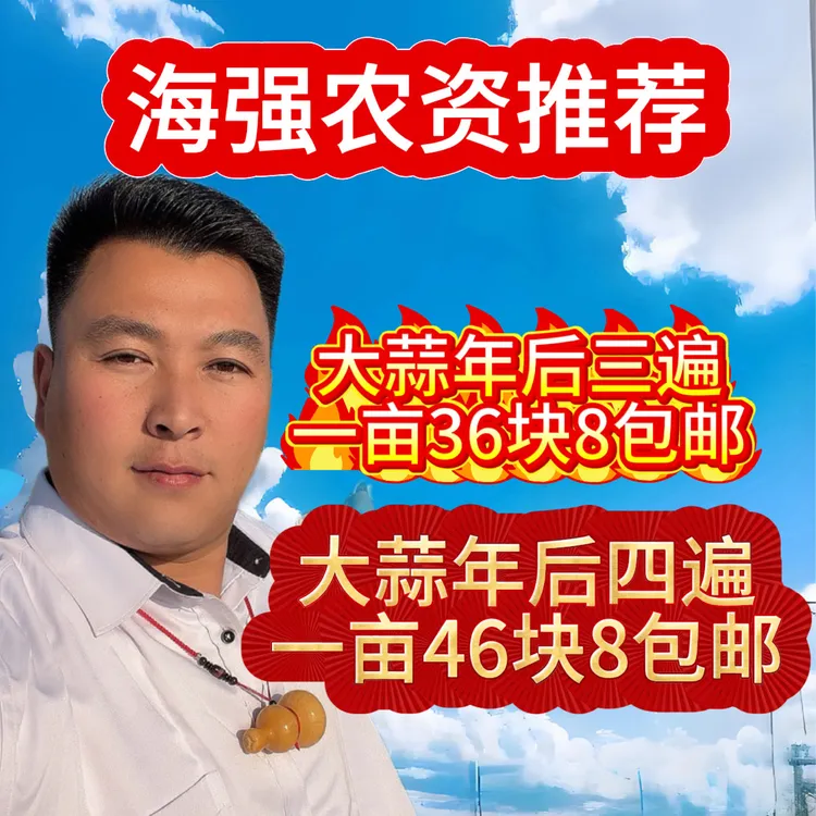 大蒜年后高产三遍四遍含氨基酸营养液套餐