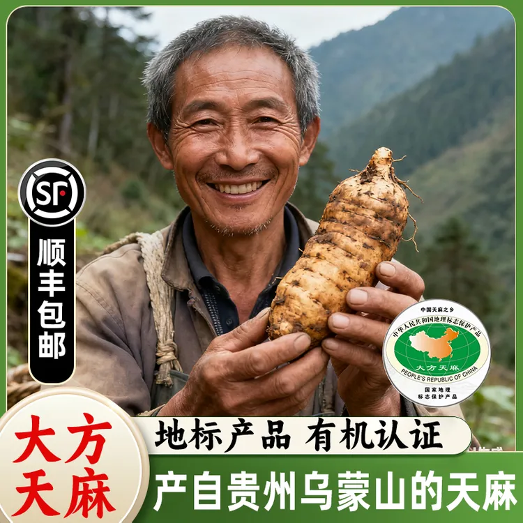 【顺丰直发】贵州大方新鲜天麻林下仿野生现挖现发非云南小草坝天麻