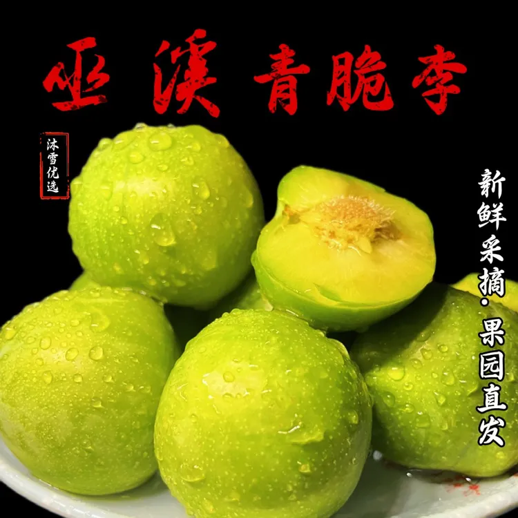 巫溪青脆李，遇见“李”，满眼都是“李”