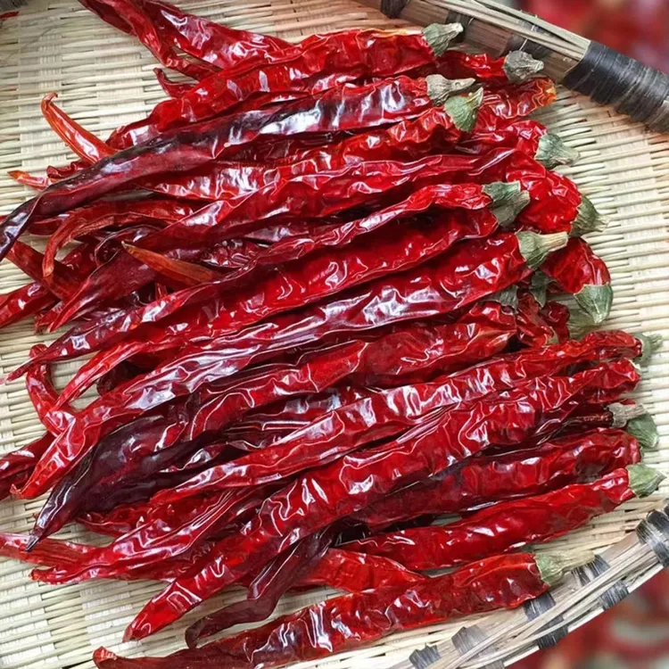 微辣超香二荆条干辣椒 炒菜炝锅农家晒特辣品种红油辣子250g/500g