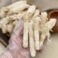【4周年】精选贵州竹荪100克