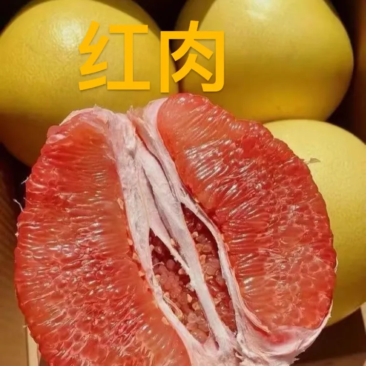容县正宗蜜柚,新鲜水果三红柚子,8分甜2分酸,老人小孩孕妇都能吃。