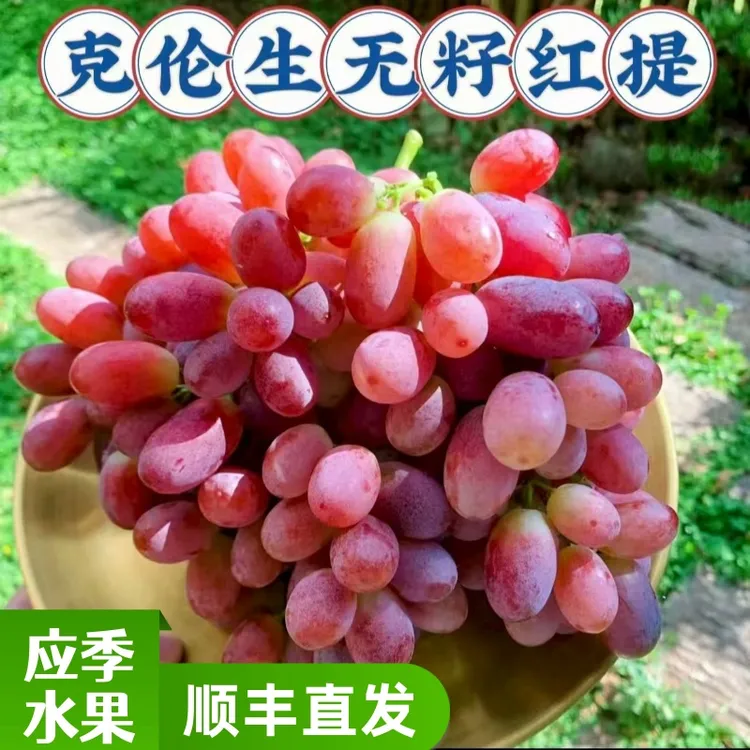 顺丰直发大凉山克伦生无籽红提葡萄脆甜多汁冰美人葡萄应季水果
