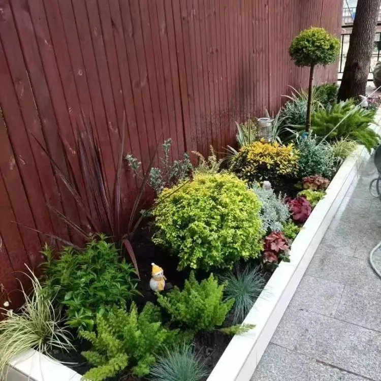 花园花池花箱组合搭配花镜植物四季常绿耐热耐寒好养庭院阳台设计