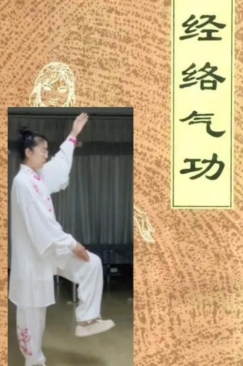 文创全套《12经络气功教学视频》真人演示运动男女国学文化穴位按摩