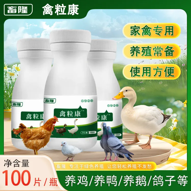 【畜隆】禽粒康鸡鸭鹅鸽子鹌鹑通用畜牧养殖饲料添加剂厂家直销正品商品图