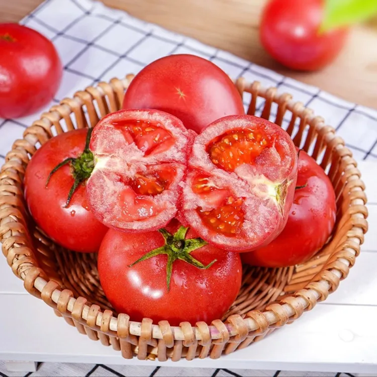 四川米易露天西红柿4.5斤沙瓤口感软糯香甜多汁新鲜采摘水果蔬菜j