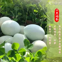 【青耘中国】乌鸡蛋30枚/盒（注：收到请取出鸡蛋放冰箱冷藏保存！）
