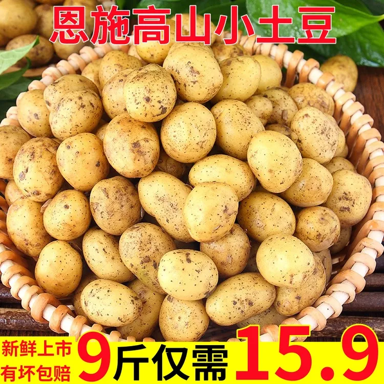 【富硒土豆】恩施小土豆新鲜现挖黄心小个马铃薯洋芋粉糯沙面