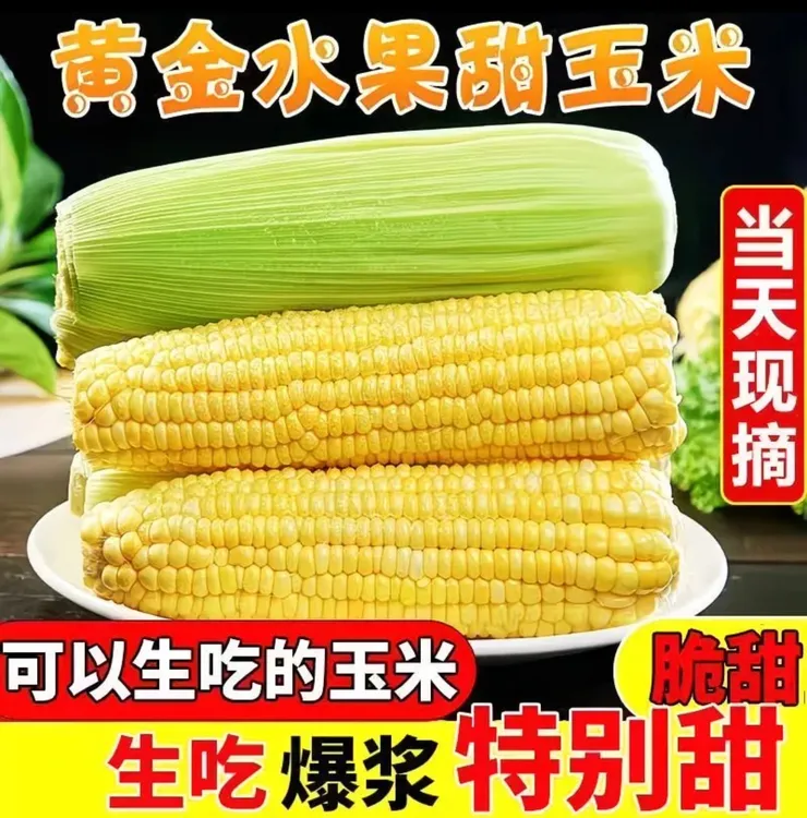 新鲜水果玉米鲜嫩黏甜可炒菜炖汤老少皆宜