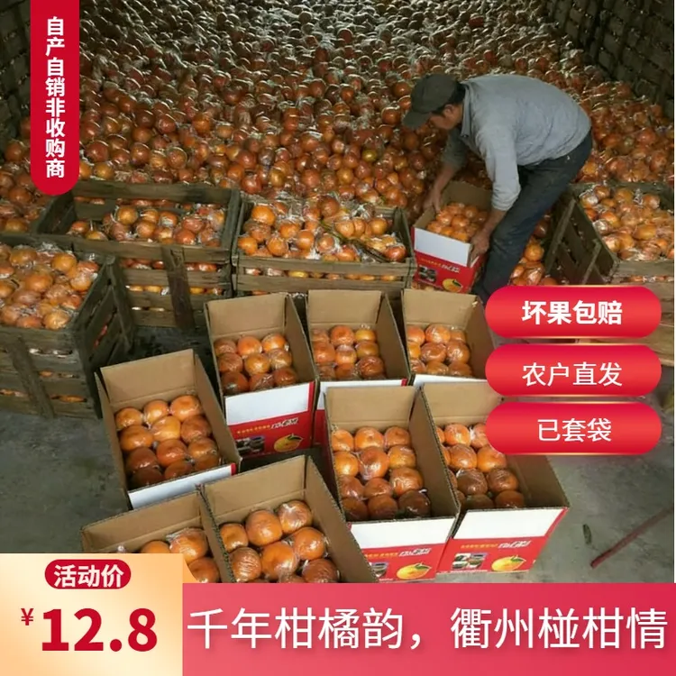 农家自种精品衢州椪柑橘子不打蜡纯天然孕妇水果新鲜甘甜可口