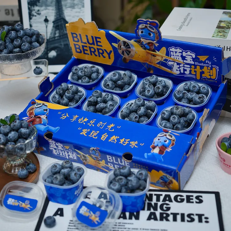 当季稀有品种 宝宝杯蓝莓 Blueberry礼盒装18+mm【顺丰京东】