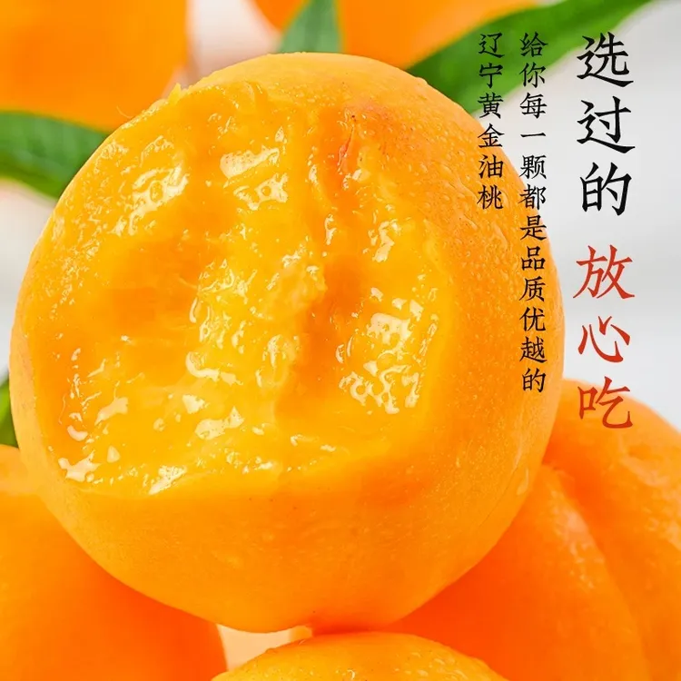 2025头茬黄金蜜桃黄金芒果桃大黄桃黄油桃黄心油桃现摘新鲜水果