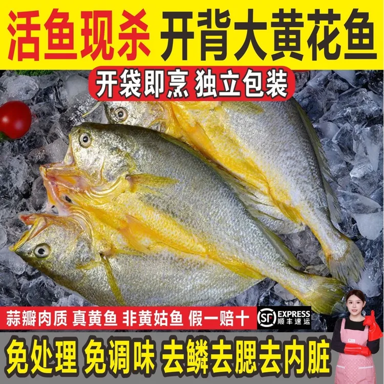 宁德正宗黄鱼鲞新鲜三去黄花鱼开背大黄鱼鲜活海鱼免腌制送礼佳品