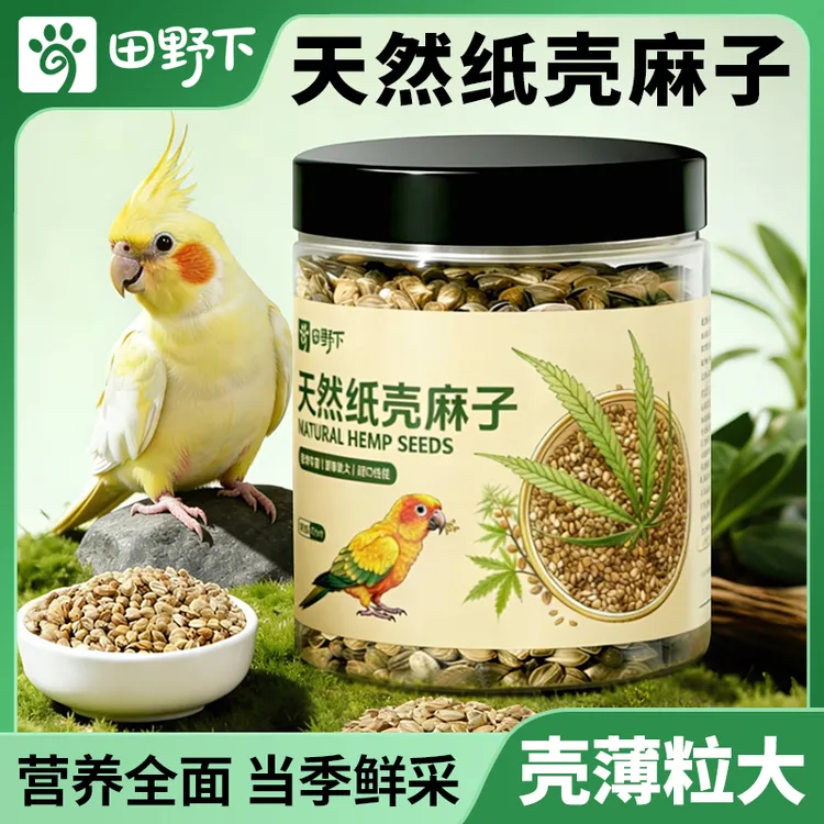 田野下【纸壳麻子】鹦鹉互动零食玄凤增肥太阳和尚鹦鹉麻子粒大皮薄商品图
