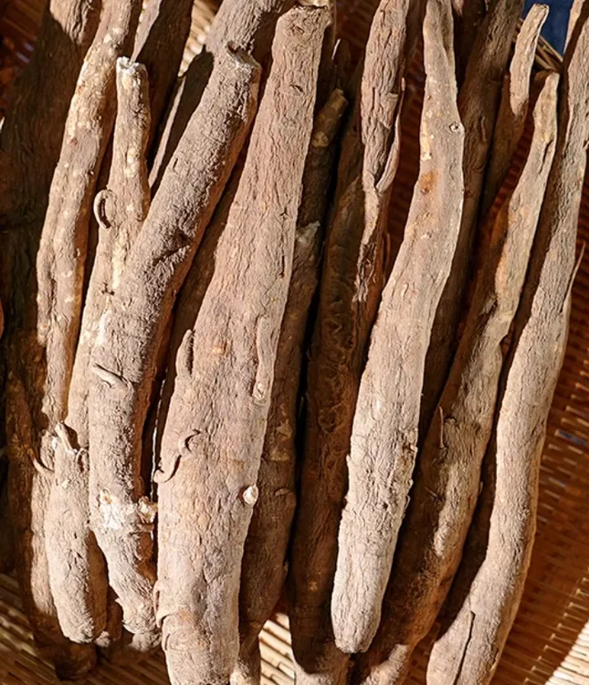 中秋好物【土当归】藏当归 高山高海拔 下山货 煲汤 煮水