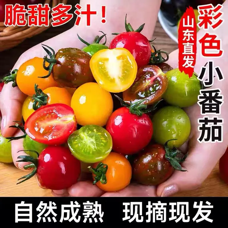 【京东快递】圣女果小番茄多彩多色应季水果多彩5-7种混合装送礼商品图