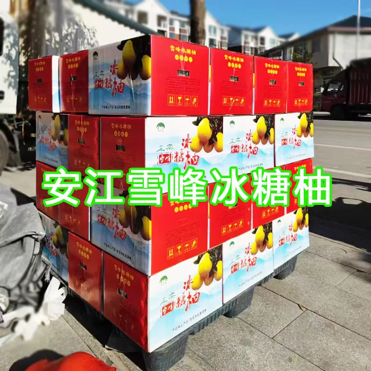 安江雪峰冰糖柚子—湖南怀化正宗安江镇老树麻麻柚药柚子新鲜大果