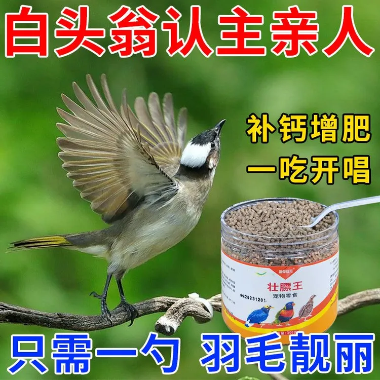 白头翁鸟饲料嗜虫鸟食白头翁红尾北鸲长尾四喜黑白歌鸲鸟粮专用食