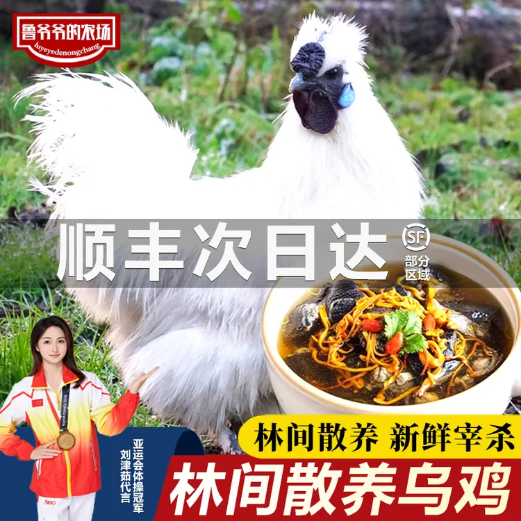清真 乌鸡新鲜现杀活鸡土鸡农家散养老乌鸡母鸡煲汤整只正宗乌鸡