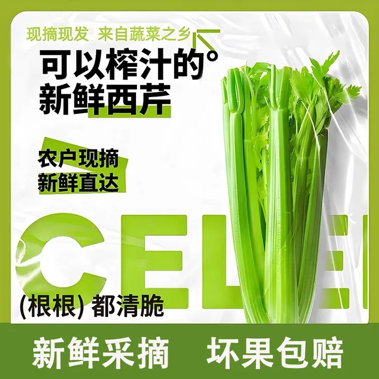 富贵 新鲜现砍正宗西芹脆嫩多汁可生吃蔬菜沙拉5斤
