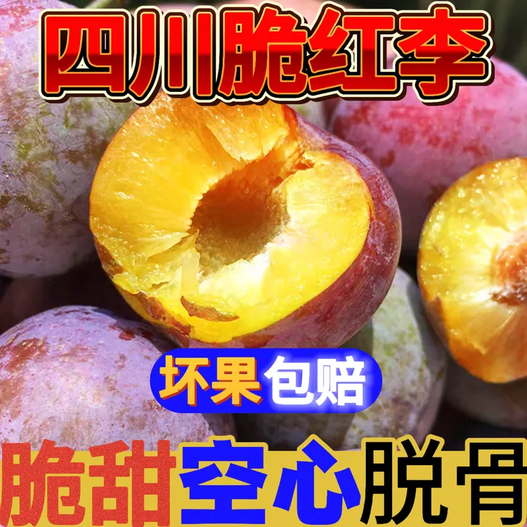 四川高山脆红李新鲜现摘当季水果脱骨脆甜多汁脱骨李李子