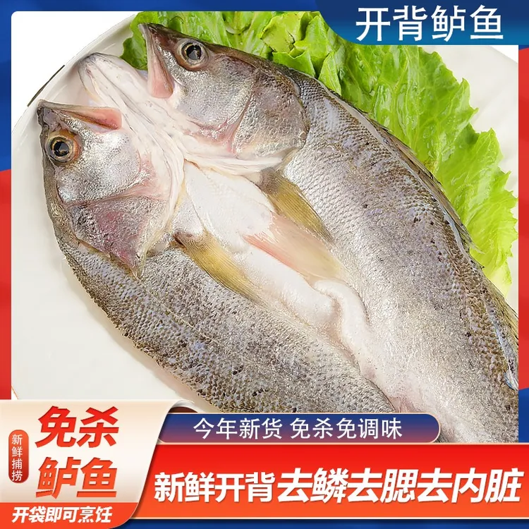 新鲜三去鲈鱼开背鲈鱼鲜活去鳃去鳞去内脏烤鱼400g-500g/条