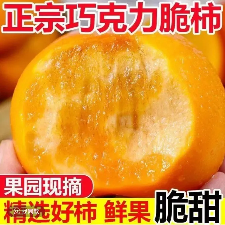 巧克力脆甜柿子直接吃现摘现发 带箱五斤左右