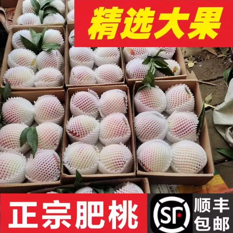 【正宗肥城贡桃】超大果6个装现摘现发新鲜口感脆甜多汁