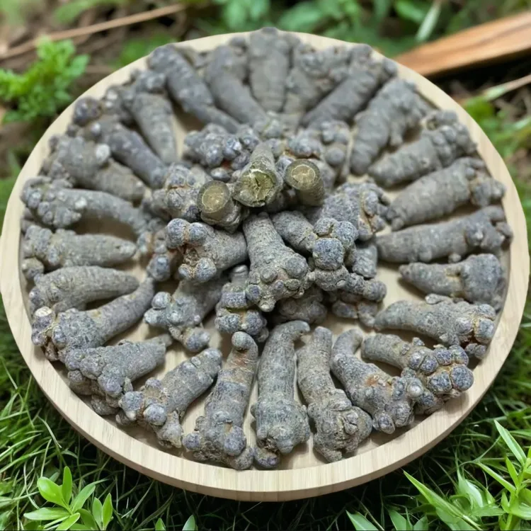 云南文山三七精选滑头三七发整个代磨粉人参形三七冲饮泡水30头