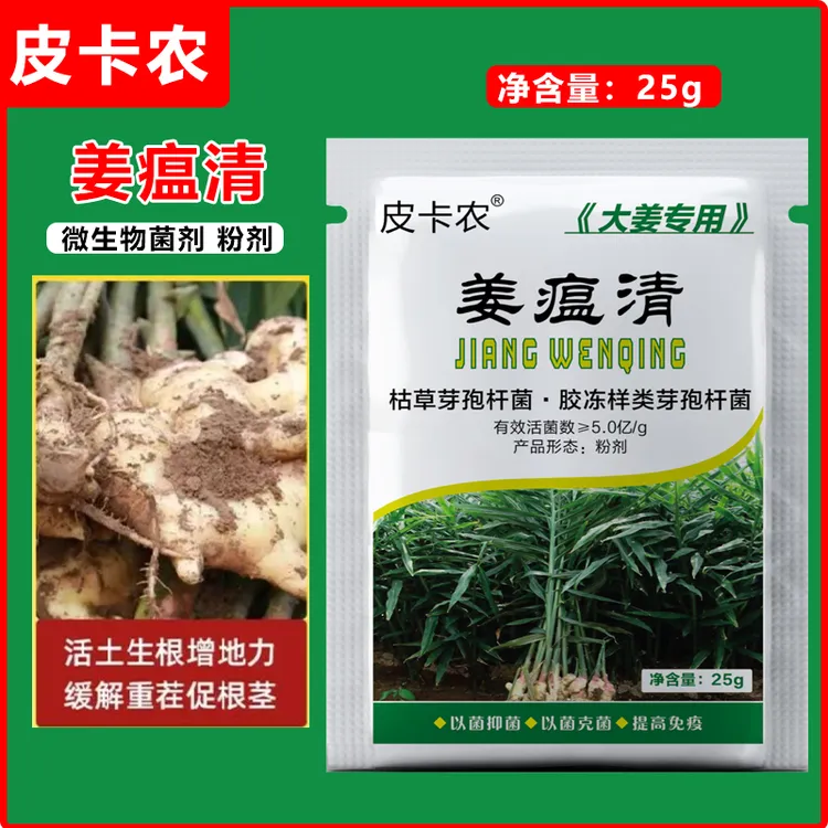 姜瘟清生姜大姜专用干尖黄叶炭疽升级版提质增产微生物有机肥料