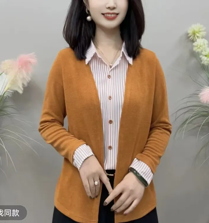2025秋季上新假两件条纹纯色款气质百搭衬衫