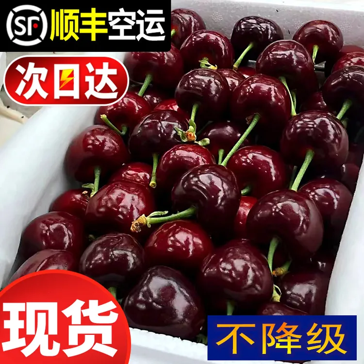 特大果智利进口车厘子拉宾斯5斤水果海运J-5J内附果径卡