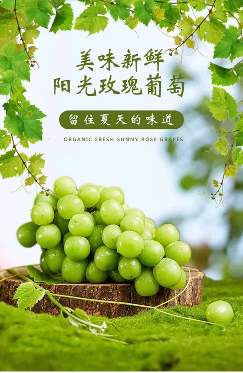 顺丰次日达头茬阳光玫瑰葡萄新鲜水果现摘无籽脆甜多汁