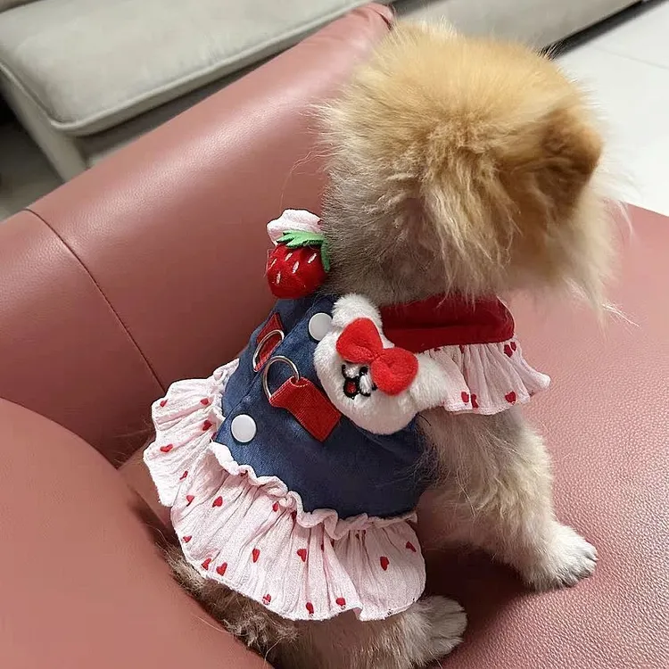 狗狗牵引胸背裙泰迪比熊小型犬夏季外出透气防蚊虫裙子牵引胸背绳