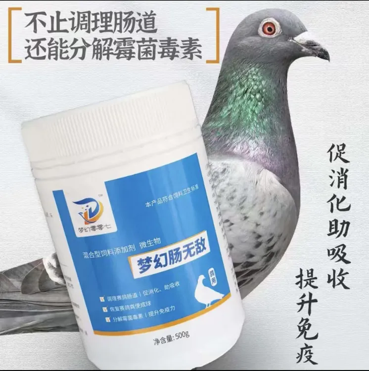 赛鸽信鸽调理肠道用品可使粪便成型的肠无敌