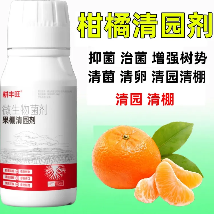 柑橘清园剂微生物菌剂安全环保杀菌消毒清园清棚柑桔清园药清满园