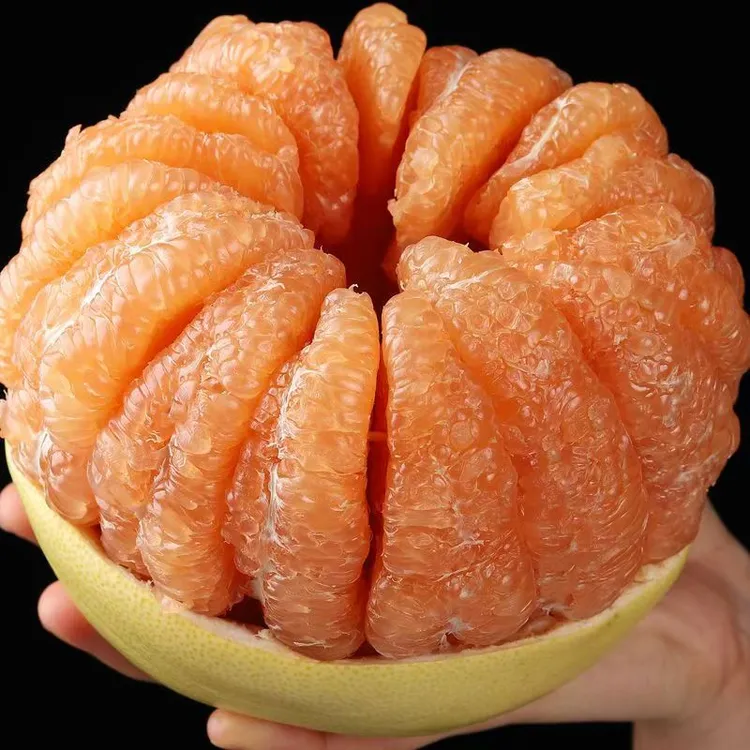 【老树果-当季黄心蜜柚】高山农家种植黄心蜜柚现摘水果鲜嫩多汁商品图