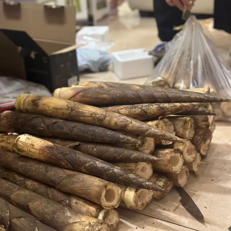 重庆南川金佛山新鲜带壳毛壳方竹笋特产农产品