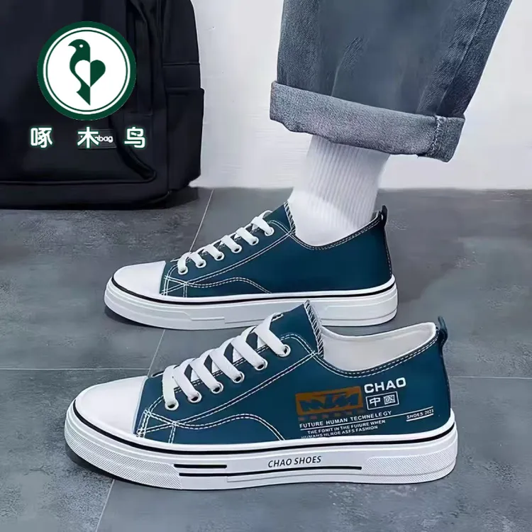 【正品】啄木鸟男鞋韩版夏季新款百搭薄款透气穿搭帆布鞋潮2025休闲