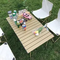 【单桌子】折叠桌装便捷野餐桌户外折叠桌子露营家用折叠桌