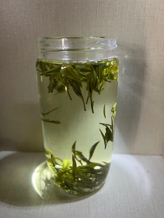 2025岳西翠兰实拍明后口粮茶自己制作直发味浓耐泡初做抖音冲量款