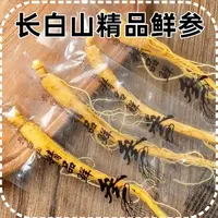 （福利一支装）正宗长白山保鲜参独立真空包装产地发可用于泡酒煲汤